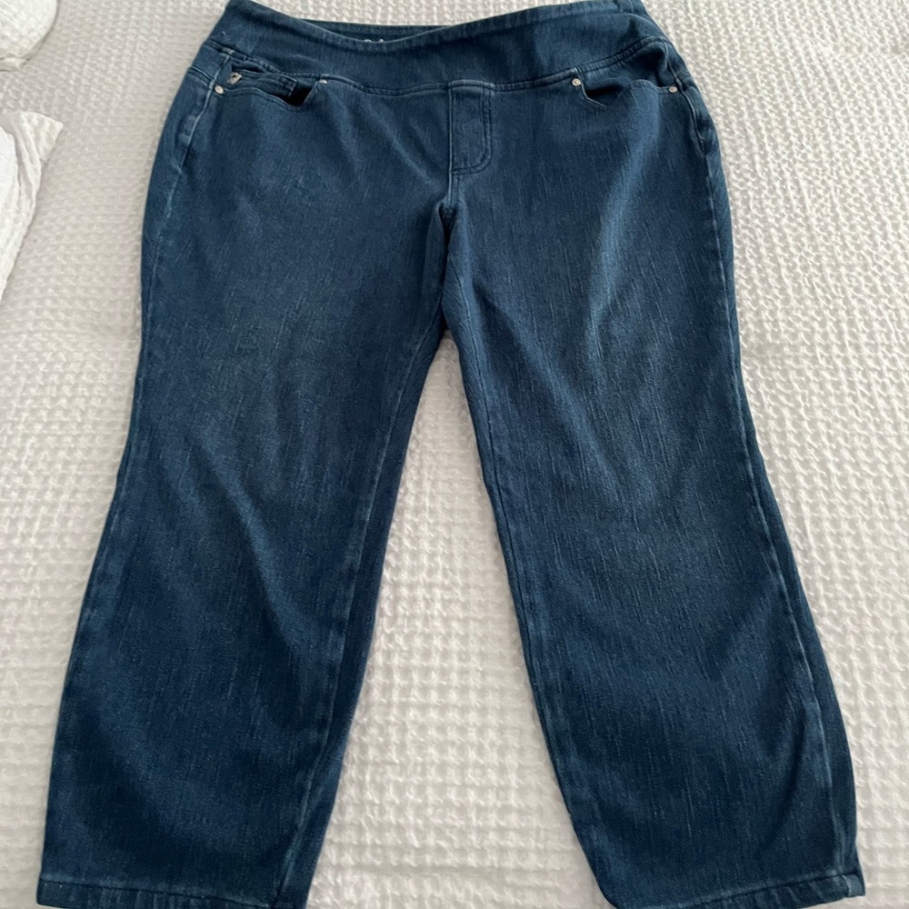 Belle Kim Gravel primabelle straight leg cropped jean 23” inseam